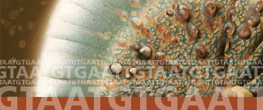 image of virus