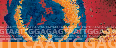 image of virus