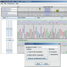 online module shot