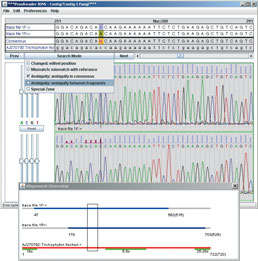online module shot